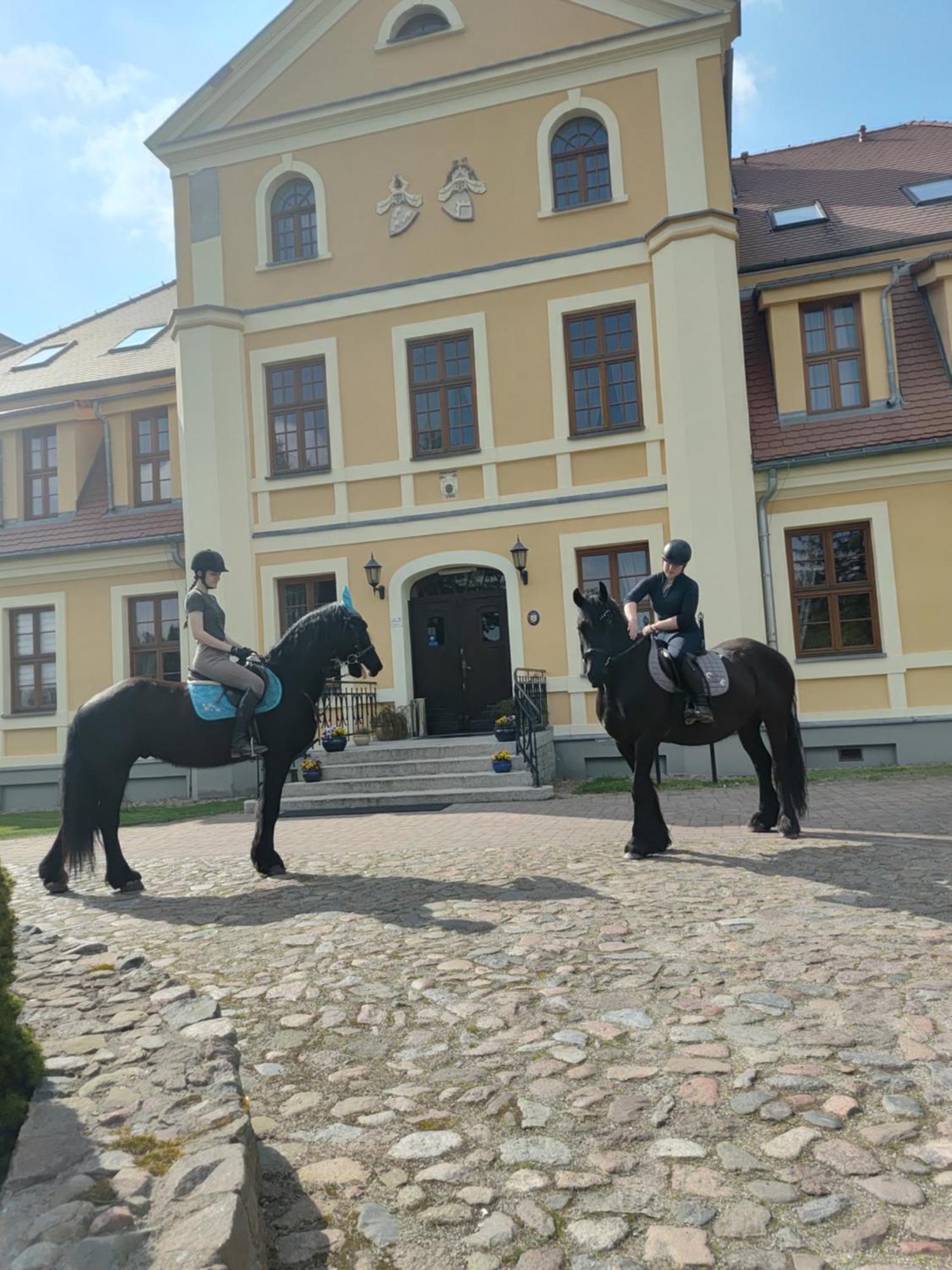 Palac W Rymaniu Exteriér fotografie