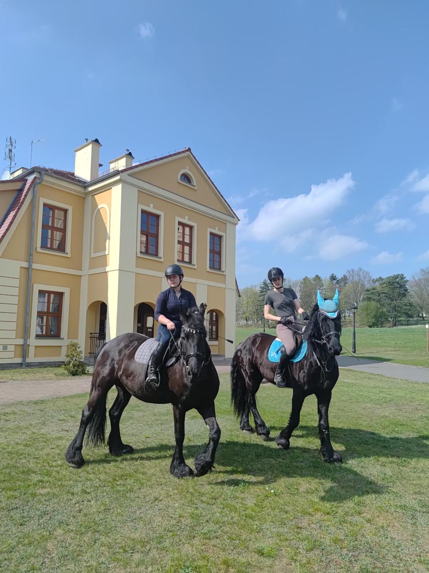 Palac W Rymaniu Exteriér fotografie